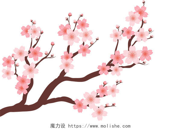 春天踏青日本樱花花朵花瓣花卉树枝png元素